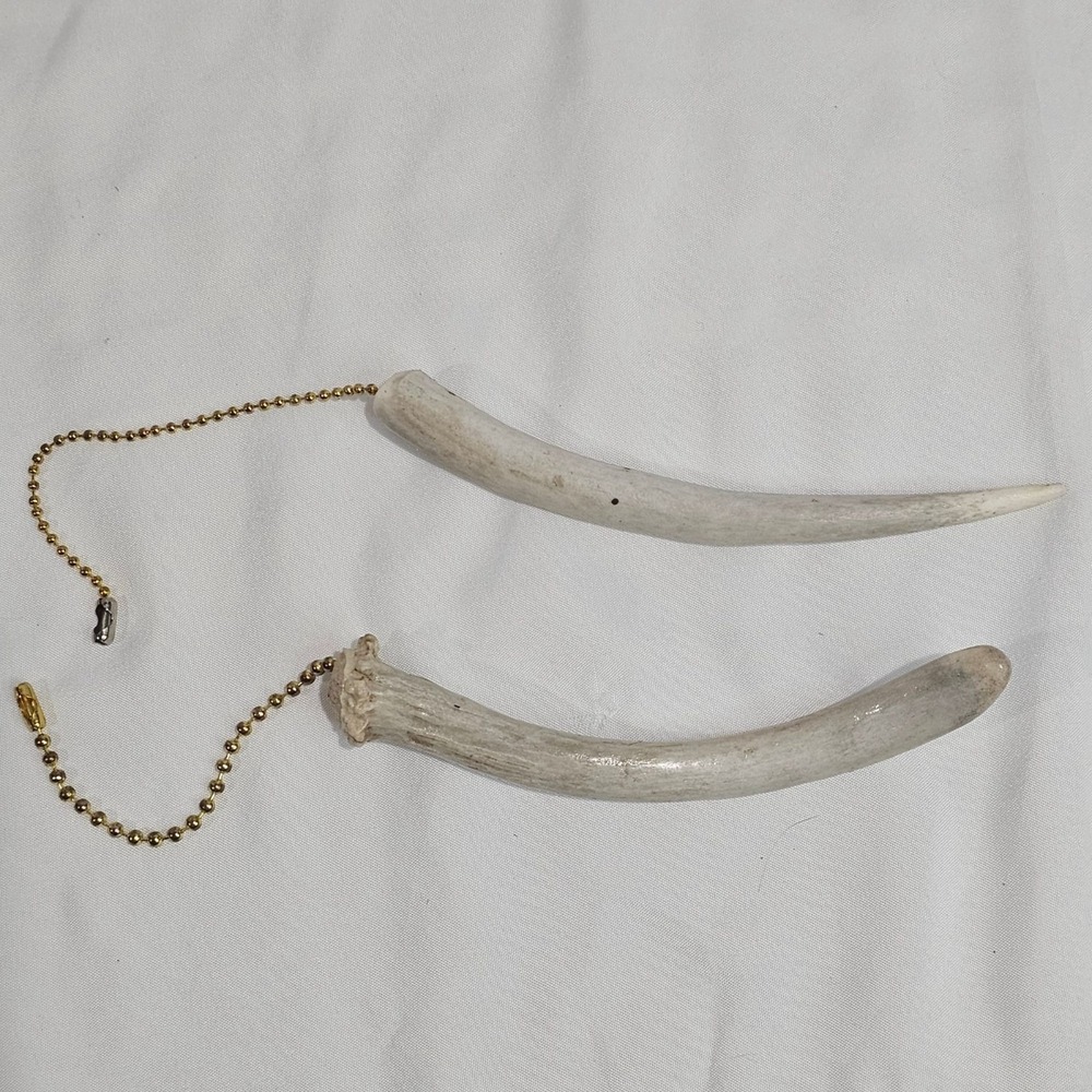 Natural White Tail Deer Horn Home Decor Rustic Cabin Country Cottagecore - Picture 5 of 5